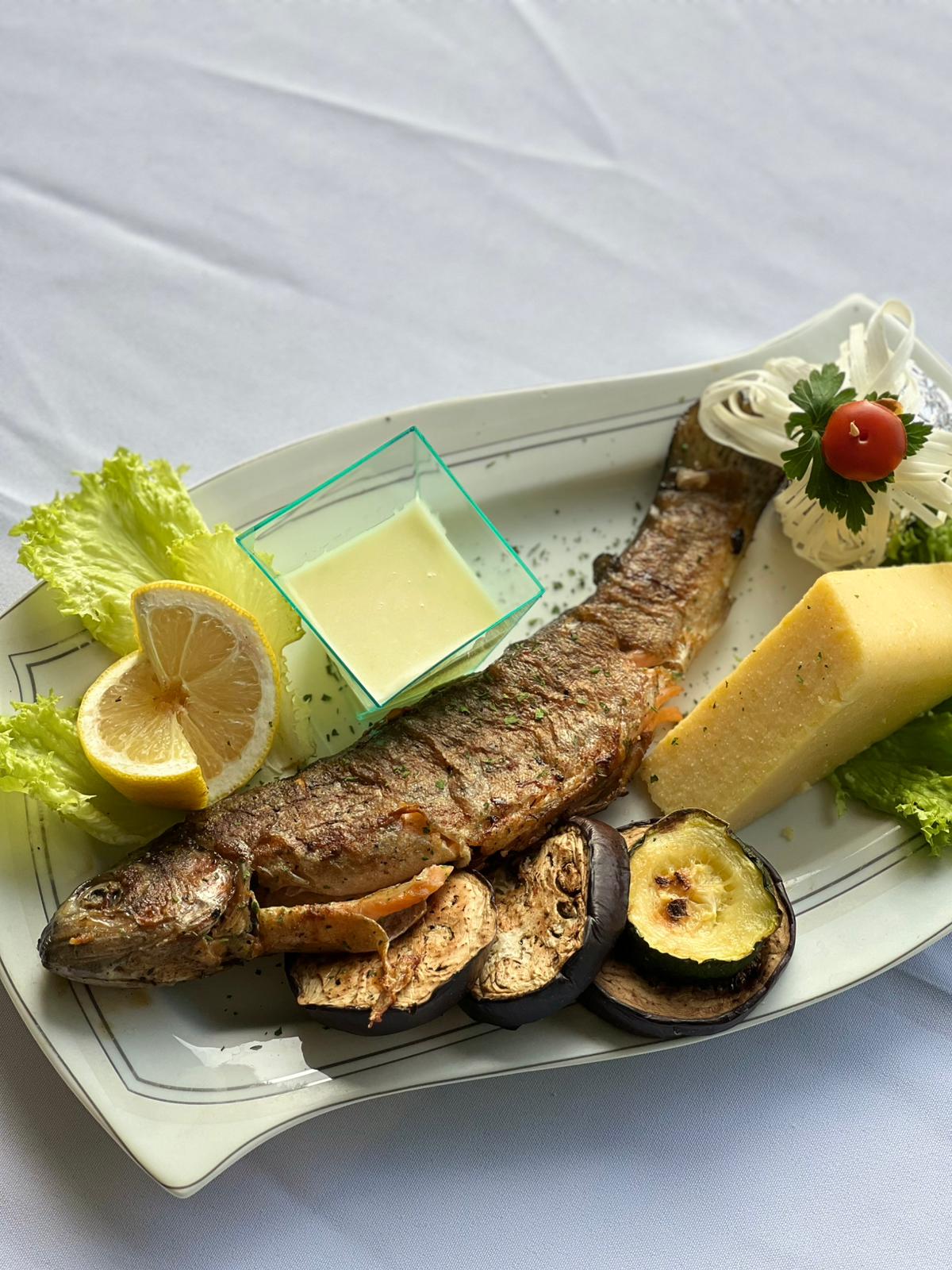 WhatsApp Image 2025-11-12 at 15.37.50